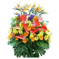 Congratulations Flower Basket With Stand